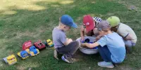Трудовая деятельность
