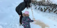 Выходные с пользой!