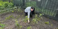 Чистый четверг