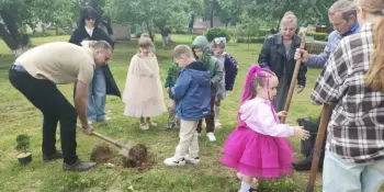 Аллеи выпускников 2026